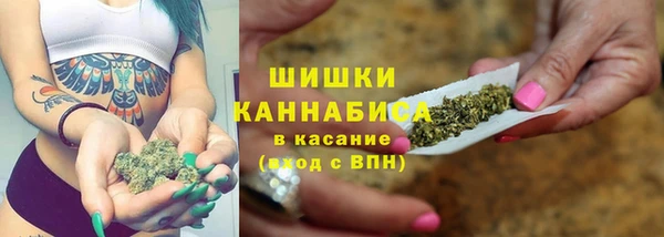 твердый Богородицк
