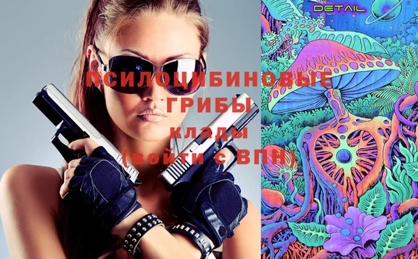 первитин Богданович