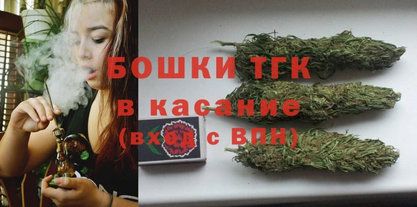 твердый Богородицк