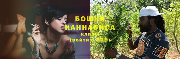 твердый Богородицк
